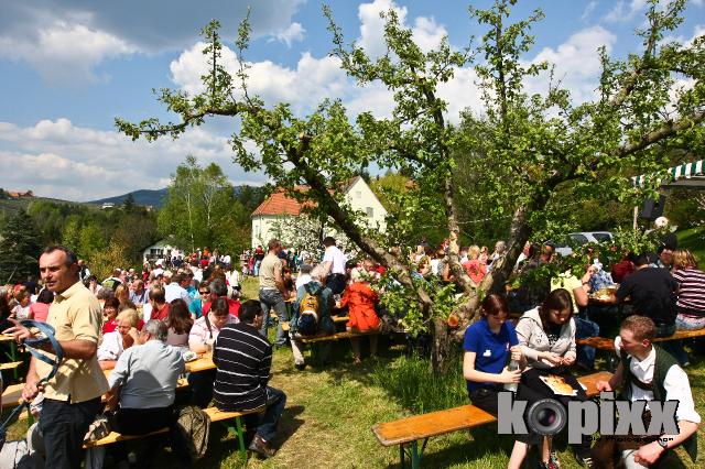 Apfelbluetenfest2008-0041.jpg