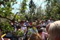 Apfelbluetenfest2008-0006