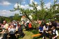 Apfelbluetenfest2008-0041