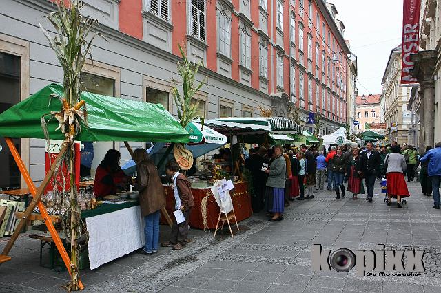 Aufsteirern-165.jpg