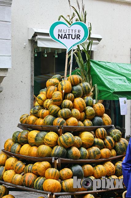 Aufsteirern-180.jpg